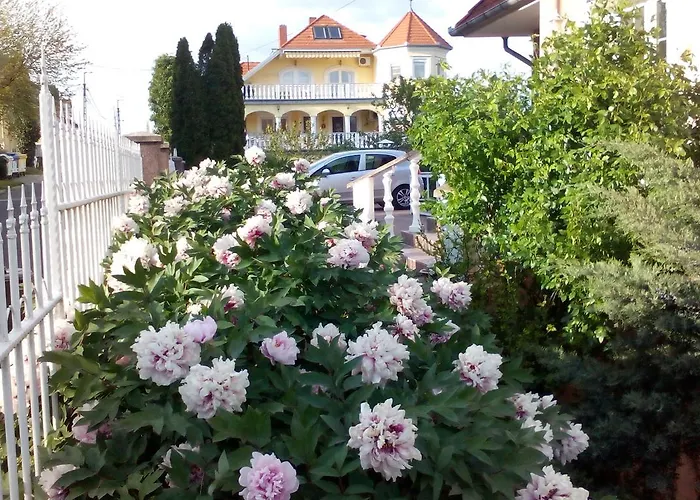Valloris *